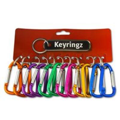 ASEC Metal Carabiner Key Ring - Large