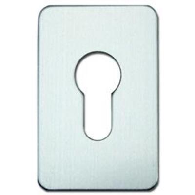 ASEC Self Adhesive 45mm x 70mm Euro Escutcheon - EE1B - STOCK RE