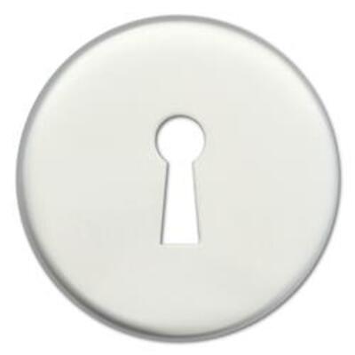 DORTREND 10ECKIAS Concealed Fixing PA Escutcheon - L4316