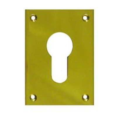 SOUBER TOOLS EE1 Front Fix Euro Escutcheon - Polished Brass